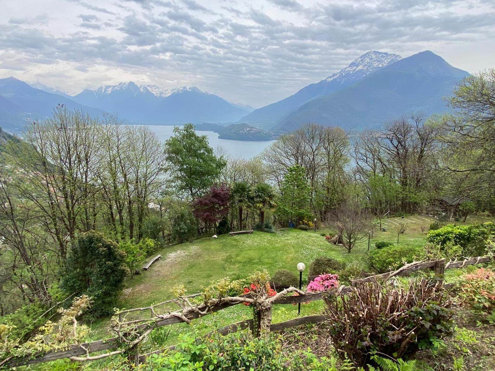 The Happy Rooster - Villa With Big Garden Pianello Del Lario エクステリア 写真